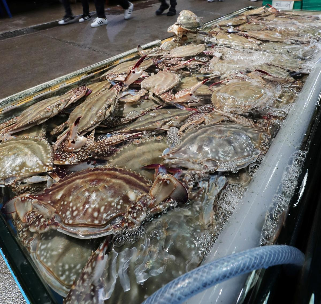 올가을 꽃게가 달라진다…어획량 줄어도 자원량은 오히려 늘어난 이유 2 image 5